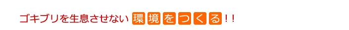 ゴキブリを生息させない環境を作る！！