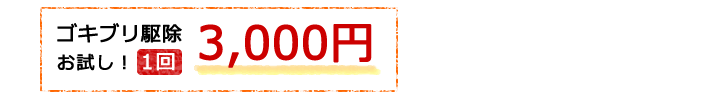 まずはお試し！3,000円