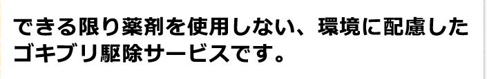 できる限り薬剤を使用しない、環境に配慮したゴキブリ駆除サービスです。