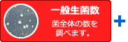 一般生菌数　菌全体の数を調べます。