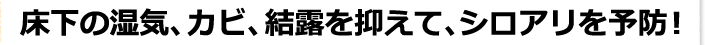 床下の湿気、カビ、結露を抑えて、シロアリを予防！